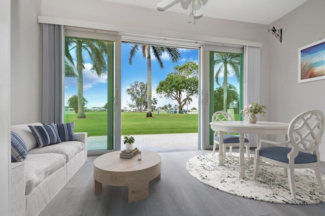 doorway to outside featuring a ceiling fan and wood finished floors