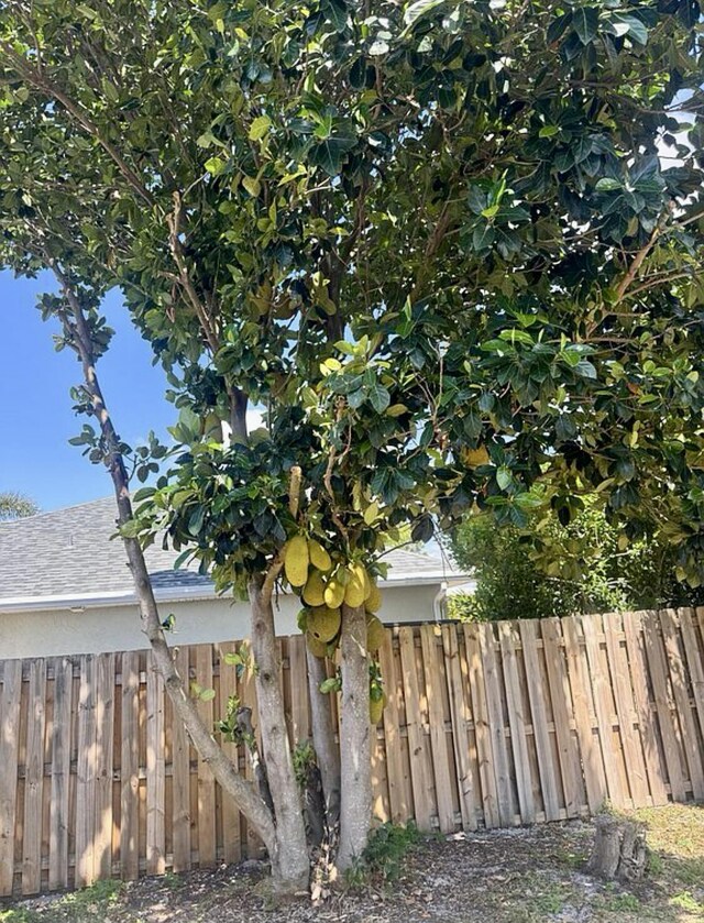 889 SW Nichols Ter, Port Saint Lucie, FL 34953 - view of yard