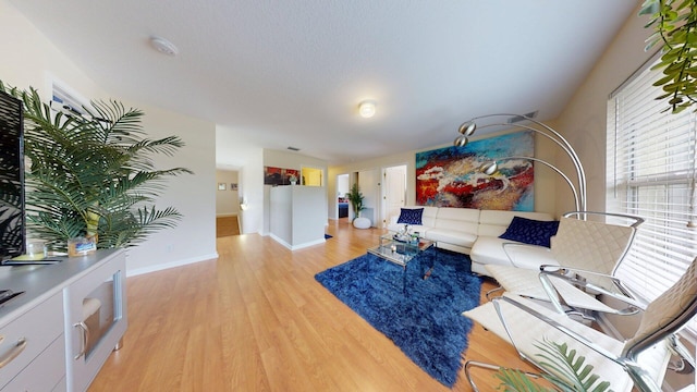 15511 63rd Pl N, Loxahatchee, FL 33470 - living area featuring light wood-type flooring and baseboards