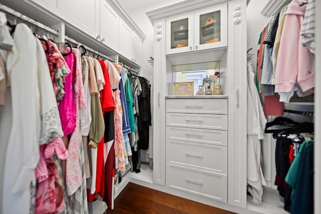 5211 SW Bimini Cir N, Palm City, FL 34990 - spacious closet with dark wood-type flooring
