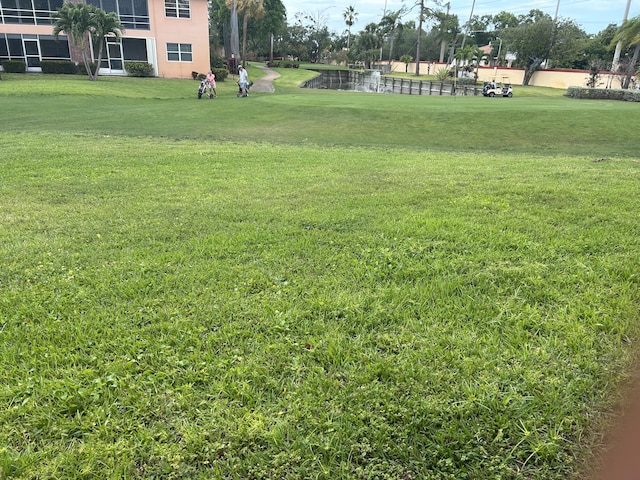 view of green lawn