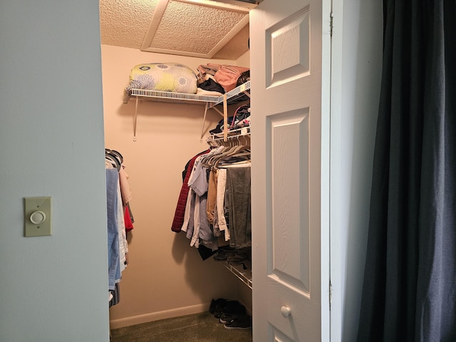 view of walk in closet