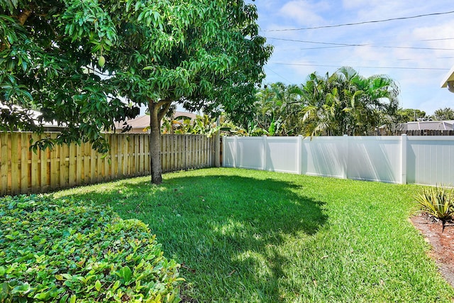 3204 SE Otis Ln, Port Saint Lucie, FL 34984 - view of yard
