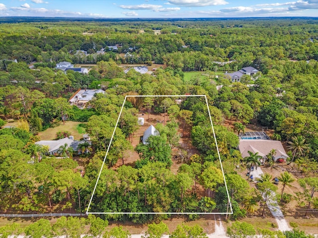 12389 186th St N, Jupiter, FL 33478 - aerial view of property and surrounding area with a heavily wooded area and property boundaries highlighted