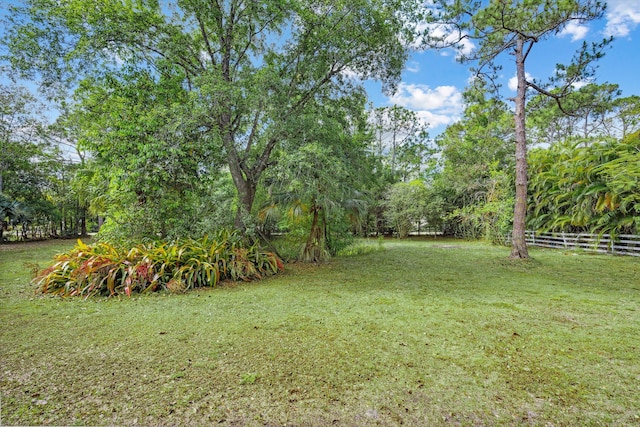 12389 186th St N, Jupiter, FL 33478 - view of yard