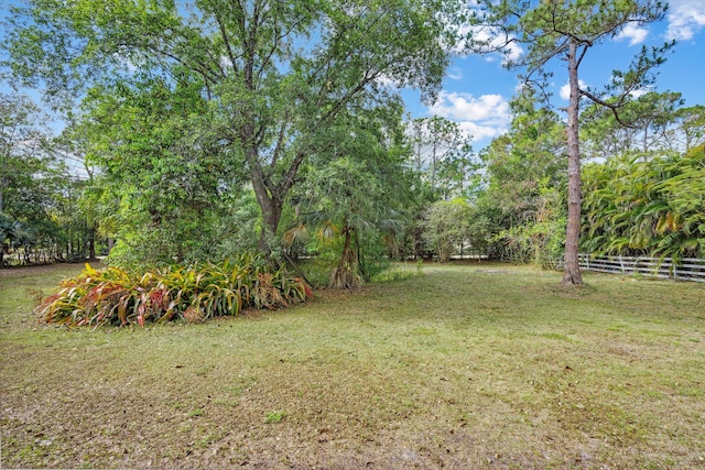 12389 186th St N, Jupiter, FL 33478 - view of yard