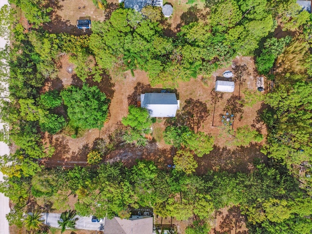 12389 186th St N, Jupiter, FL 33478 - bird's eye view