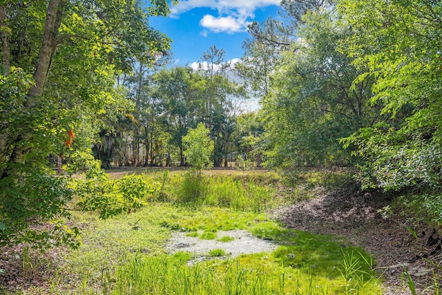 12389 186th St N, Jupiter, FL 33478 - view of undeveloped land