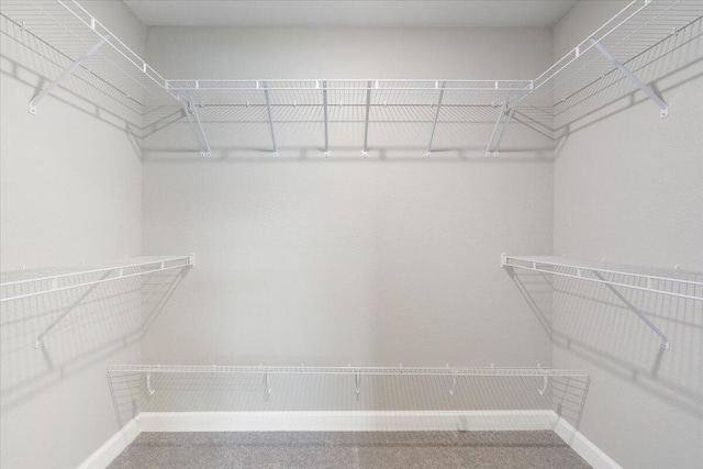 15 Jacaranda Ln, Port Saint Lucie, FL 34952 - view of spacious closet