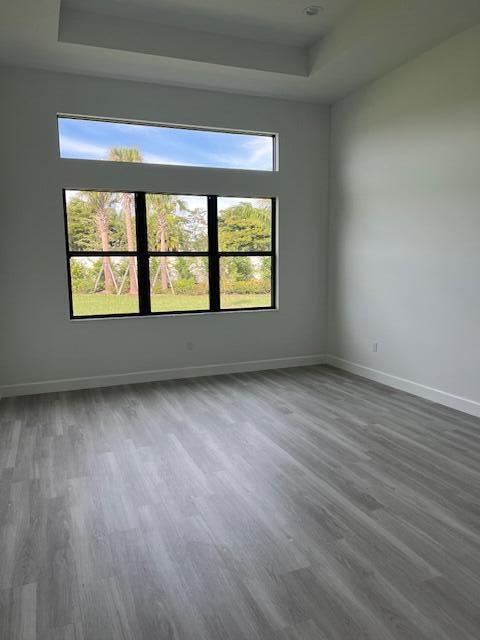 empty room featuring a raised ceiling, wood finished floors, and baseboards