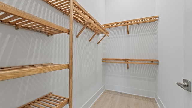 walk in closet featuring wood finished floors