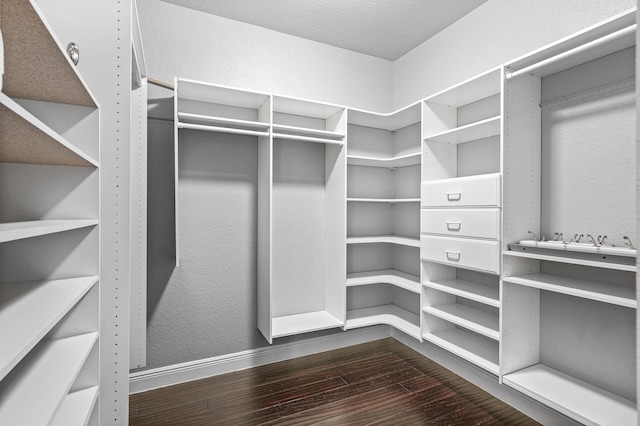 4205 Artesa Dr, Boynton Beach, FL 33436 - spacious closet with dark wood-type flooring