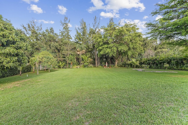 5320 SW 199th Ave, Pembroke Pines, FL 33332 - view of green lawn