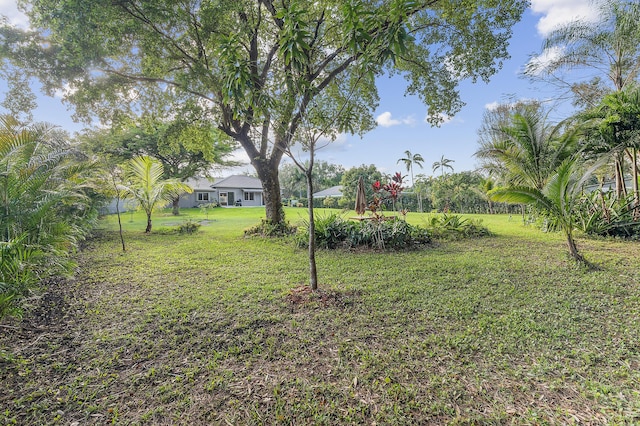 5320 SW 199th Ave, Pembroke Pines, FL 33332 - view of green lawn