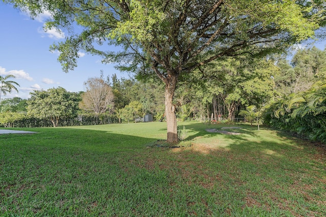 5320 SW 199th Ave, Pembroke Pines, FL 33332 - view of green lawn