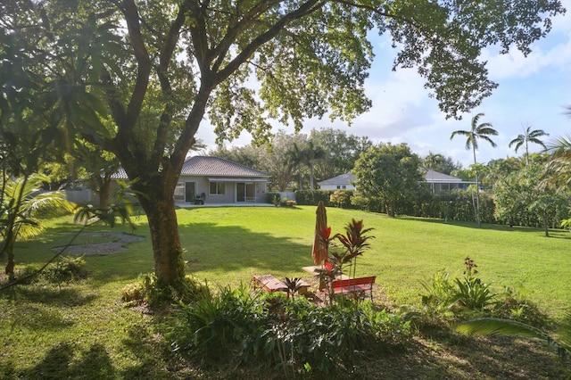 5320 SW 199th Ave, Pembroke Pines, FL 33332 - view of yard