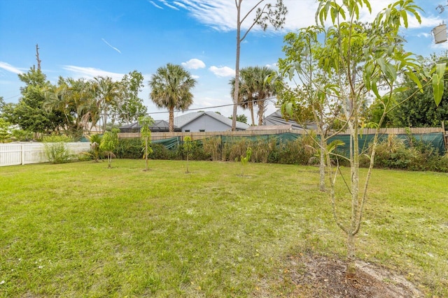 482 NW Fairfax Ave, Port Saint Lucie, FL 34983 - view of yard
