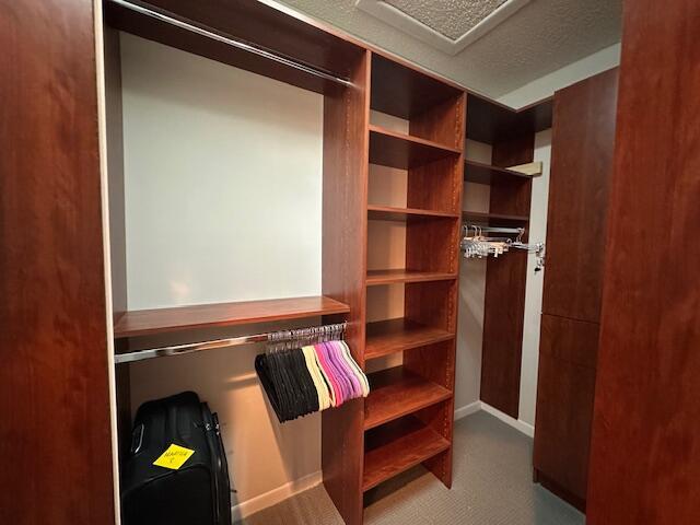 5155 Europa Dr Unit R, Boynton Beach, FL 33437 - spacious closet with carpet flooring
