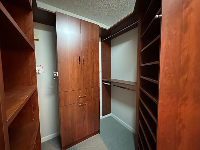 5155 Europa Dr Unit R, Boynton Beach, FL 33437 - spacious closet featuring carpet flooring