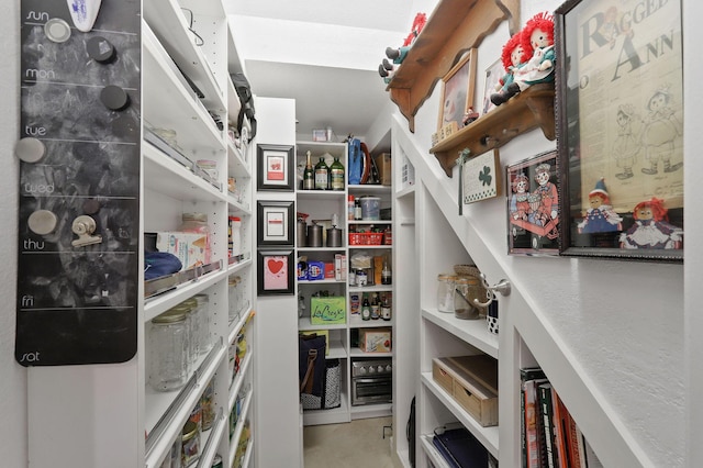 7668 SE Laque Cir, Stuart, FL 34997 - view of storage area