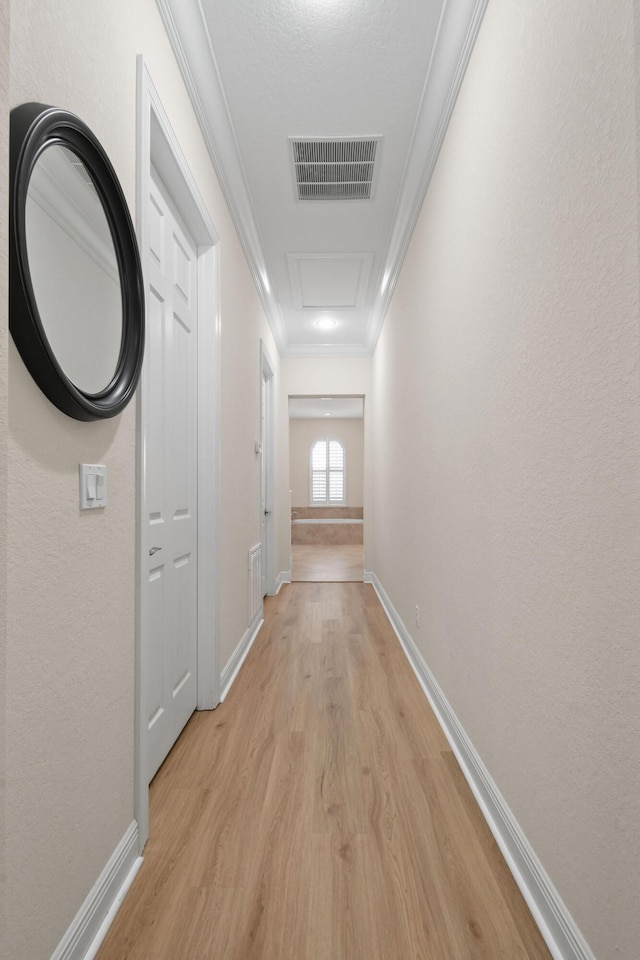 7668 SE Laque Cir, Stuart, FL 34997 - hall featuring light wood-style flooring, baseboards, and ornamental molding
