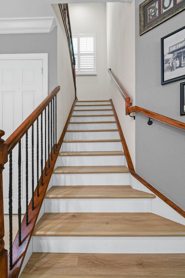 7668 SE Laque Cir, Stuart, FL 34997 - stairway with crown molding