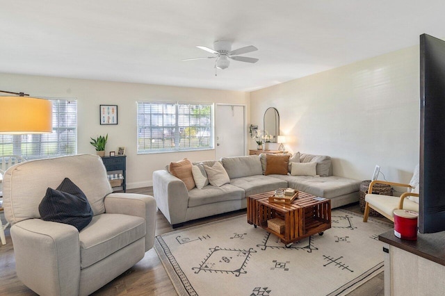 living area with plenty of natural light, a ceiling fan, and wood finished floors