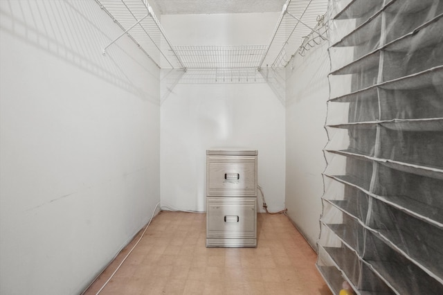 400 Village Green Cir W Unit 205, Palm Springs, FL 33461 - spacious closet with light floors