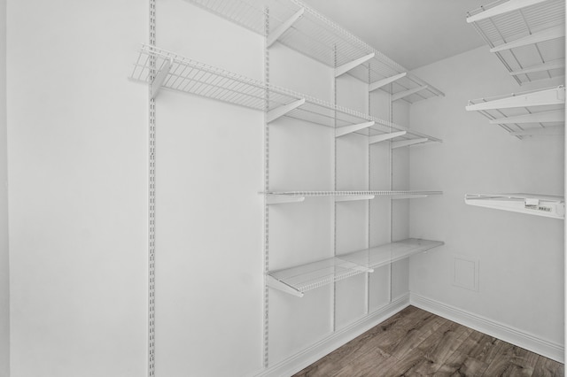 walk in closet featuring wood finished floors