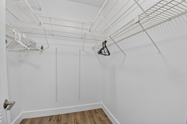 830 Greensward Ct Unit 107-H, Delray Beach, FL 33445 - walk in closet featuring wood finished floors