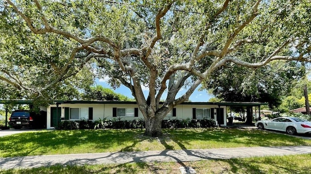 single story home featuring a carport and a front yard