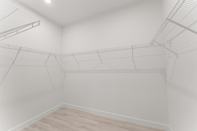 spacious closet featuring light wood-style floors