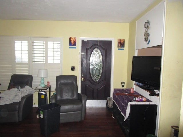 entryway featuring wood finished floors