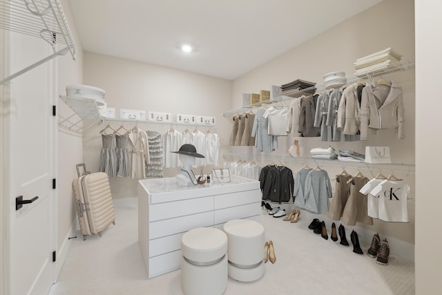 walk in closet featuring carpet floors