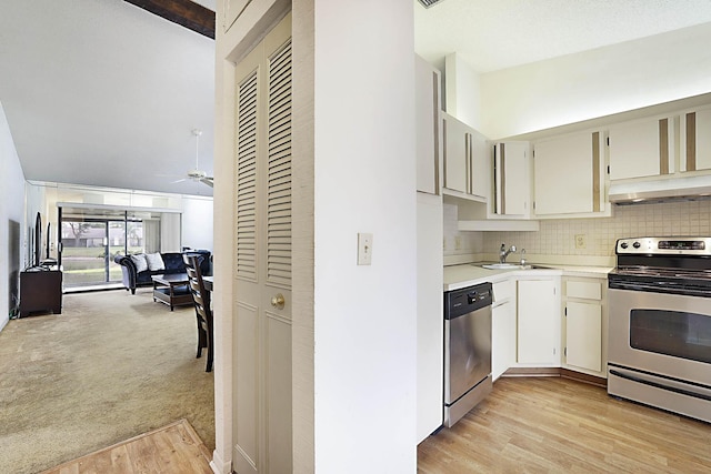 1017 Green Pine Blvd E, West Palm Beach, FL 33409 - kitchen featuring stainless steel appliances, under cabinet range hood, a sink, a ceiling fan, and light countertops