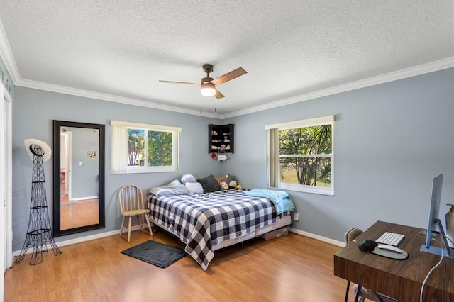 11447 Orange Grove Blvd, West Palm Beach, FL 33411 - bedroom featuring wood finished floors, multiple windows, ornamental molding, a textured ceiling, and baseboards