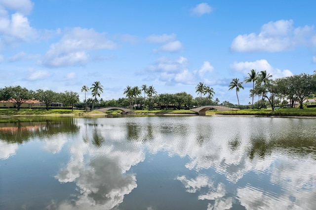 2596 Irma Lake Dr, West Palm Beach, FL 33411 - water view