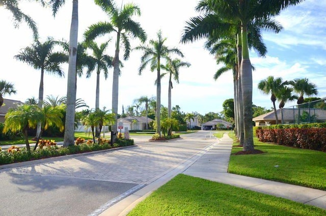 view of street featuring curbs and a residential view