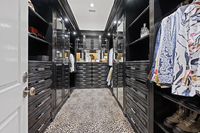 view of walk in closet