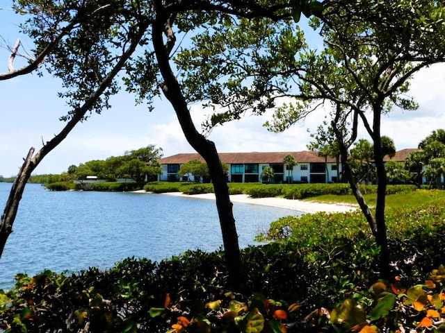 water view