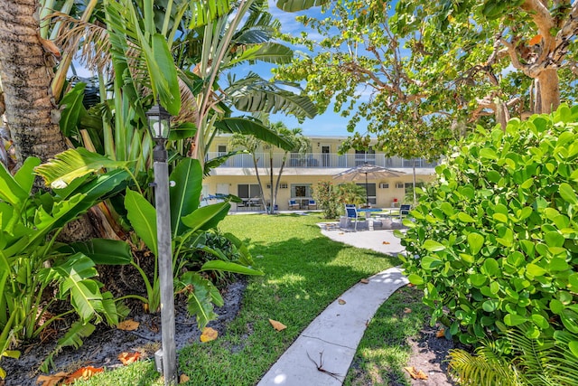 view of grassy yard featuring a patio area