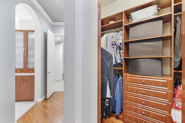 12341 NW 78th Mnr, Parkland, FL 33076 - walk in closet featuring wood finished floors and arched walkways