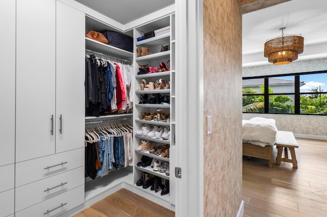 8294 Fishhawk Falls Ct, Boca Raton, FL 33496 - view of closet