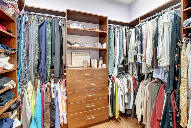 4128 Cascada Cir, Cooper City, FL 33024 - spacious closet featuring wood finished floors
