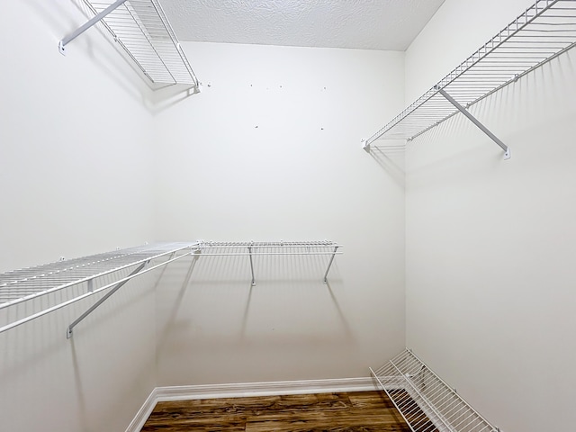 walk in closet featuring wood finished floors