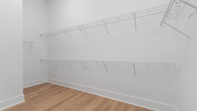 13250 Artisan Cir, Palm Beach Gardens, FL 33418 - walk in closet featuring light wood-style floors