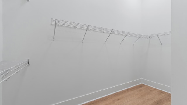 13250 Artisan Cir, Palm Beach Gardens, FL 33418 - walk in closet with light wood finished floors