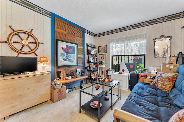 11 Meadows Dr, Boynton Beach, FL 33436 - living area with carpet and a textured ceiling
