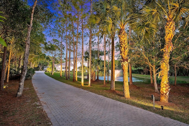 17736 103rd Ter N, Jupiter, FL 33478 - surrounding community featuring decorative driveway, a yard, and a water view