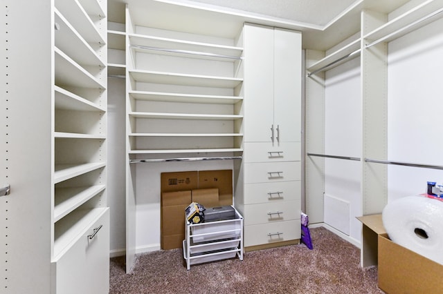 11683 Briarwood Cir Unit 4, Boynton Beach, FL 33437 - walk in closet featuring carpet floors